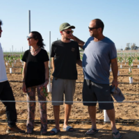 Quatre membres de la famille Pauker dans les vignobles du kibboutz Nir Oz plantés par Gideon Pauker, avant qu'il ne soit assassiné par des terroristes du Hamas le 7 octobre 2023. (Crédit : Autorisation)